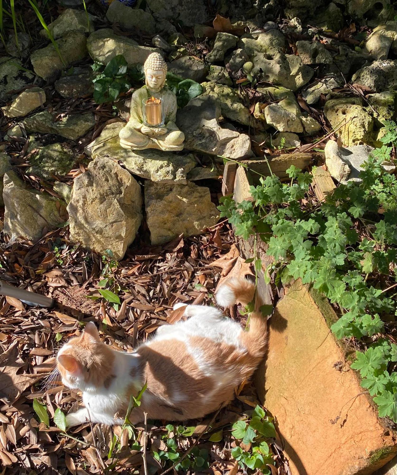 Au Jardin Bed & Breakfast Moissac Bagian luar foto